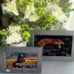 Digital Affirmations